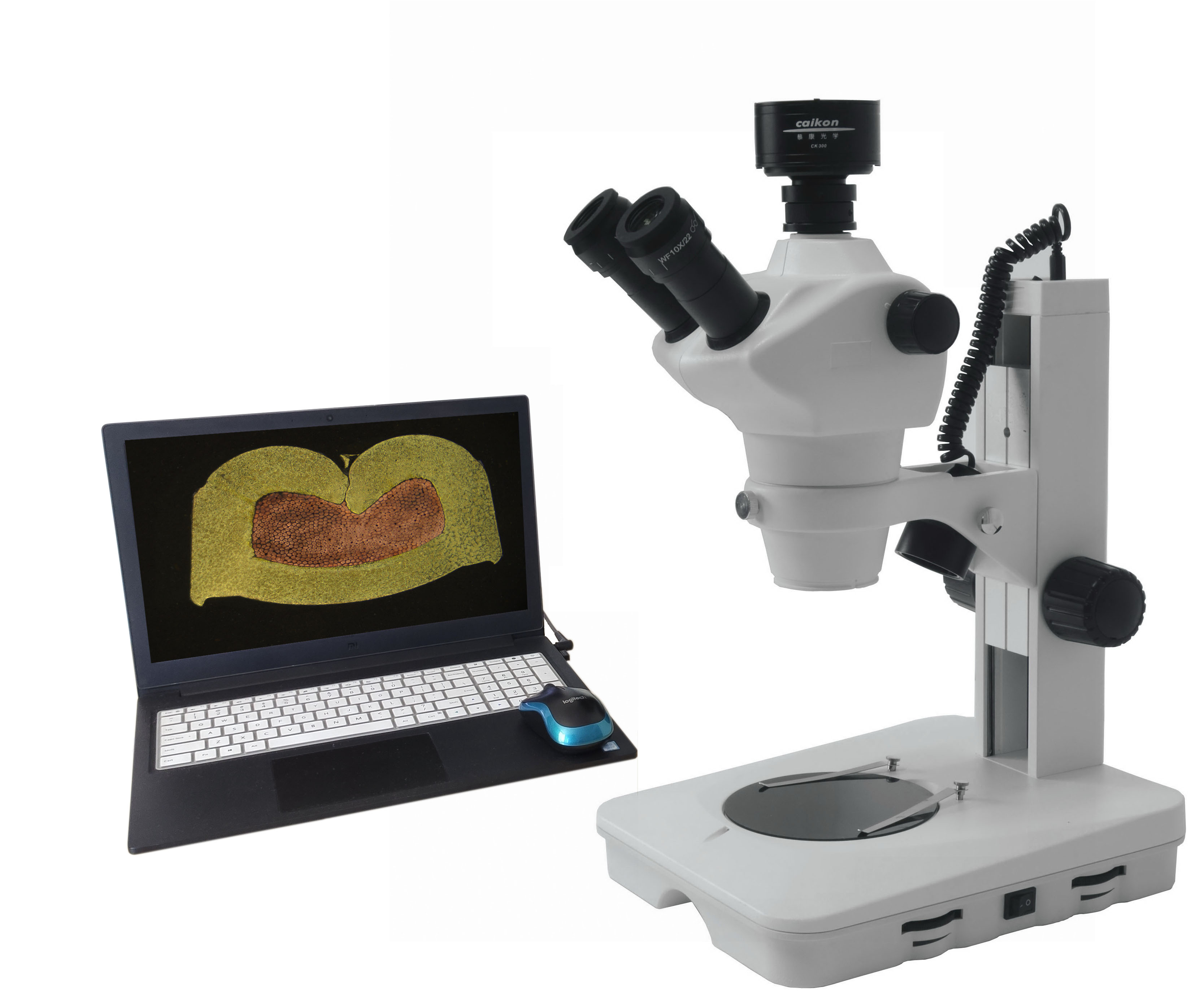 端子截面分析試樣操作流程